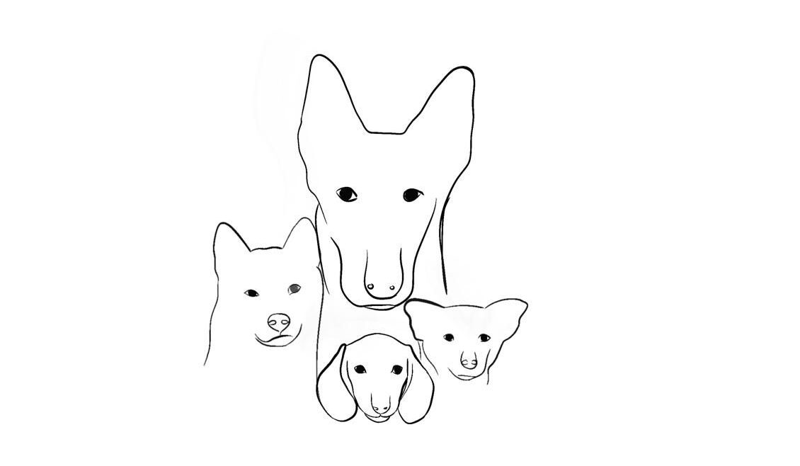 Logo du centre d'éducation canine à Mont-sur-Rolle